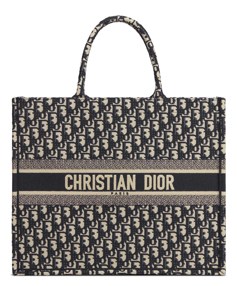 Christian Dior Book Tote Velvet Mizza Embroidery Canvas Dark Blue